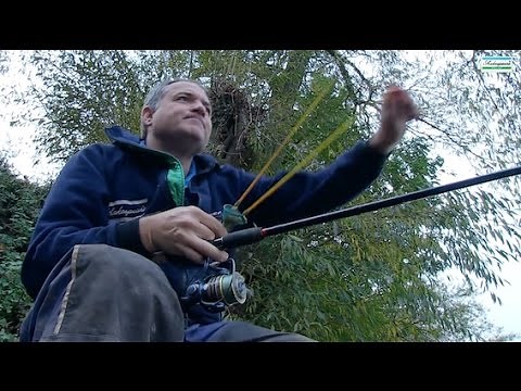 Gardons au flotteur en rivière