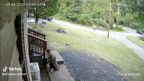 Metal Pipe Falling Sound Effect for Fun