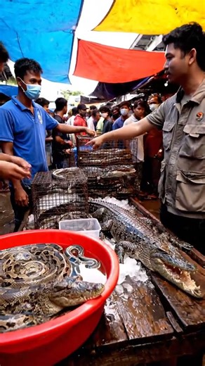 Rural Street Market Food Tour | Trying Exotic Fruits, Grilled Meats & Local Snacks