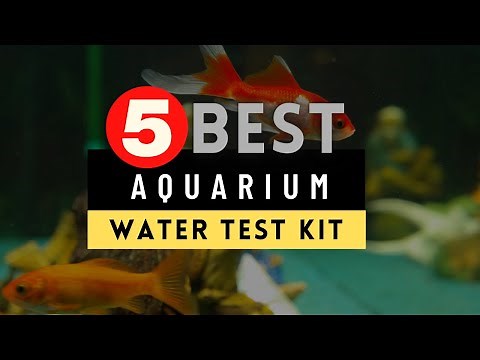 Best Water Test Kit for Aquarium 2025 🔶 Top 5 Aquarium Water Test Kit Reviews