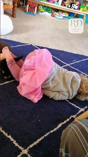 Rabbit and Toddler Play Together