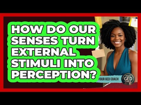 How Do Our Senses Turn External Stimuli Into Perception? - Your GED Coach