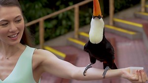 Visit our world-leading wildlife parks in Singapore! | Mandai Wildlife Reserve