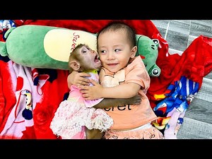 Top 5 Pranks Monkey Kaka Pulled On Diem (and It's Too Funny!)