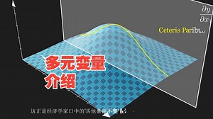 多元变量的介绍-动画秒懂