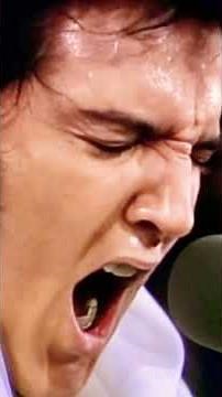 Hound Dog - Elvis Presley (1956)