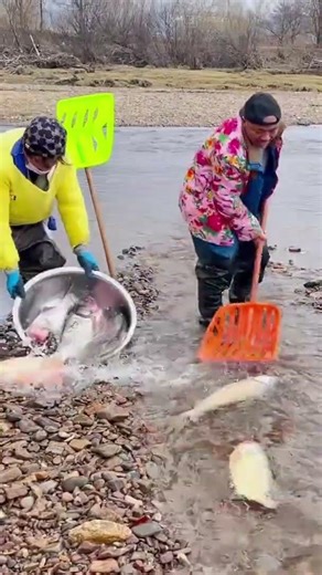 Amazing Survival Skills: Innovative Method of Fishing Through Ice in Extreme #fishing #fishies