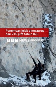 Ribuan jejak kaki dinosaurus dari sekitar 210 juta tahun lalu ditemukan di Taman Nasional Stelvio, Italia. Jejak-jejak langkah dinosaurus itu, yang beberapa di antaranya berdiameter mencapai 40 cm, tersusun sejajar dalam barisan paralel. Para ahli menduga itu adalah jejak dinosaurus prosauropoda, yang merupakan herbivora dengan leher panjang, kepala kecil dan cakar tajam. | BBC News Indonesia