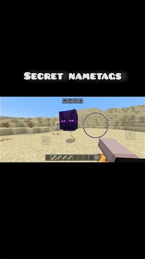 Minecraft happy ghast secret nametags in action and stuff
