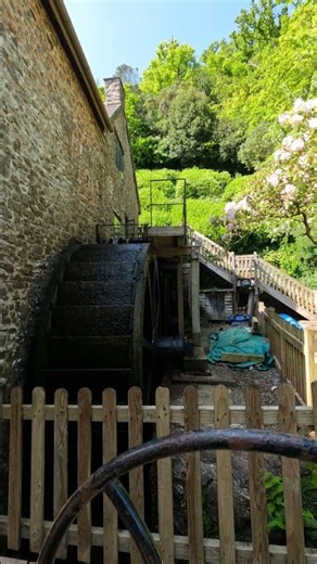 Dunster Working Watermill in Action | Historic Somerset Watermill | 9th May 2024