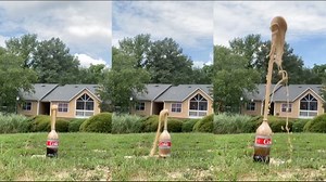 A fireworks alternative and experiment for the kids