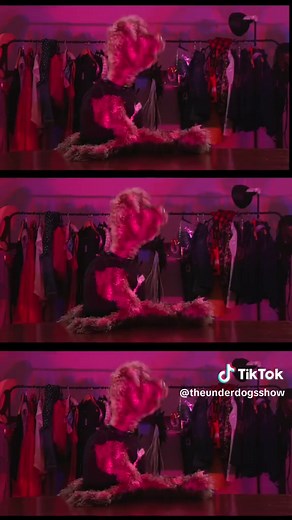 Underdog Dog Puppet Show: Laughter with Pets