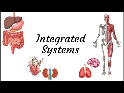 How to deal with integrated systems