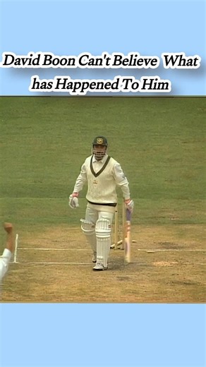 David Boon Can't Believe What has Happened Darren Gough Magic #cricket #icc #shorts