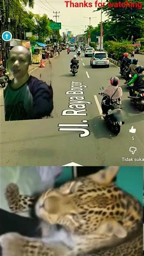 cinta segi tiga #berandayoutube #love #malang #automobile #viralvideo #vidioshort #jangkauanluasfyp