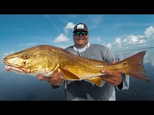 Catching BIG REDFISH in SHALLOW WATER | Sight fishing REDFISH in the Louisiana marsh