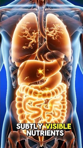 What Lemonade Does Inside Your Body Brain Muscles Gut Benefits And Side Effects Explained Visually*