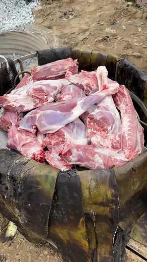 Tradicional Barbacoa de borrego cocinada bajo la tierra en un horno preparado artesanalmente al estilo Hidalgo, todo un manjar que disfrutamos en ocasiones especiales, el enorme trabajo de su elaboración bien vale la pena al comer este delicioso platillo. #tradiciones #hidalgo #barbacoa #barbacoaestilohidalgo #elmenudelupita #paratiktok #parati #foryou #fyp