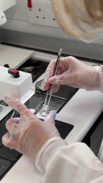 Let’s practice some embedding! #biomedical #histology #scientist #student #biomedicalscience #fyp