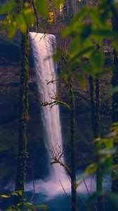 Oregon’s most beautiful waterfalls, framed by lush green forest and glowing softly under daylight, come together to create a serene, breathtaking view that feels peaceful from every angle. 📍Pacific Northwest 📸 @izak.photography #beautifuldestinations #pnw #nature #pacificnorthwest #waterfalls #pnwexplored #forest #waterfalllovers #discoverearth #divineforest #pnwphotographer #pnwwonderland #pnwadventures #pnwcollective #pnwhiking #pnwphotography #pnwlife | Izak Photography