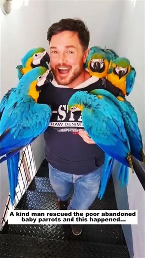 Parrots Are Getting Genetic Makeovers to Save the Species