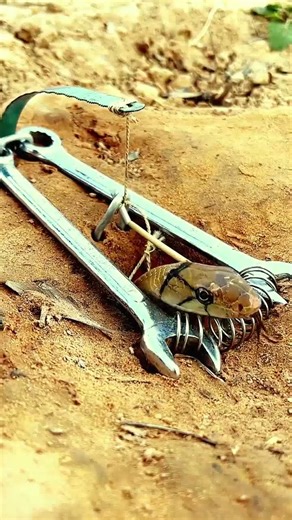 New DIY snake trap make by pliers #snake #shorts #creativesnaketrap #wildernessseason #animal