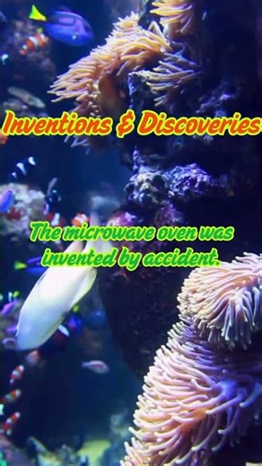 Terrifying Inventions Born From Dark Experiments