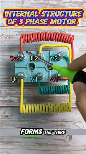 Internal Structure of 3 Phase Motor, Star and Delta Connections #motor #motors #electricmotor