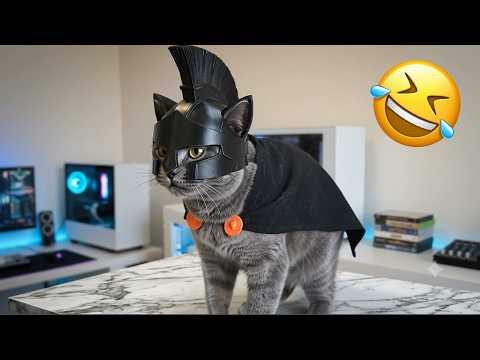 Funniest Cats and Dogs 2026 😹🤣 Try Not To Laugh