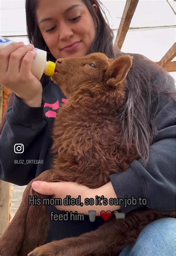 Doing our best to prevent our kids from becoming iPad kids! 🤳📵❌ #tiktokparents #tiktokmom #foryoupage #explore #carhart #farm #farmlife #farmtok #sahm #couples #couplestiktok #married #parenting #hacks #ipad