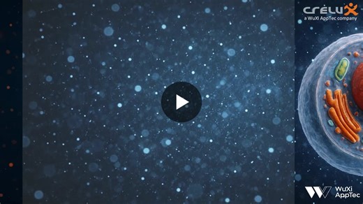 #brutonstyrosinekinase #oncology #immunology #oncology #drugdiscovery #crelux #wuxiapptec | CRELUX, a WuXi AppTec Company