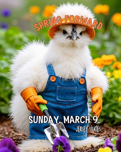 Spring Forward | St. John's United Methodist Church