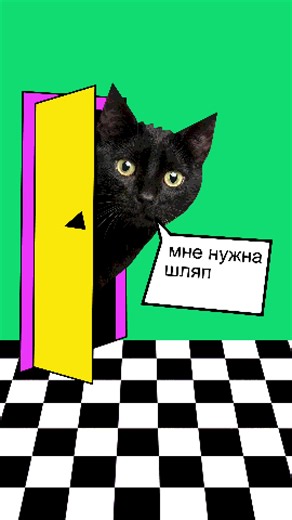 meow meow🤪 | jack stauber