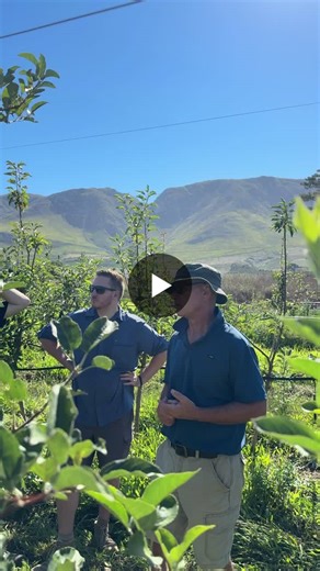 The Culteva™ team was pleased to attend Provar’s recent field tasting and orchard walk at the Oak Valley evaluation site. It was encouraging to see participants making use of the Culteva™ Tastings… | Culteva™