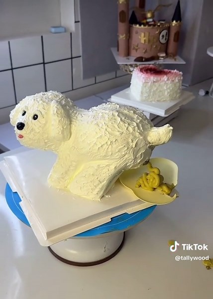 Beginner Baking Class Tips and Tricks