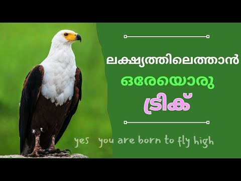 ലക്ഷ്യം കാണാൻ ഒരേഒരു ട്രിക്ക് | Malayalam motivation short story