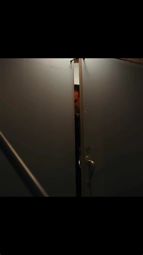 Stranger Things Jim Hopper Mid Quality Edit