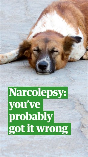 You're probably thinking about narcolepsy wrong #science #scienceweekly #sleep
