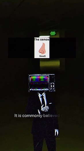 It is commonly believed that humans have only five senses: hearing, sight, smell, touch, and taste, but this is actually a misconception. In reality, humans possess many more senses. Determining the exact number is difficult, as even medical experts do not fully agree on how to define a “sense.” Still, it is reasonable to say that, in addition to the five traditional senses, there are around twenty others. Anyways, enjoy the new fact! #learnontiktok #facts #science #didyouknow