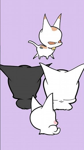 My Cat Says Thank You 😺🐾 (New Videos Every Day!)