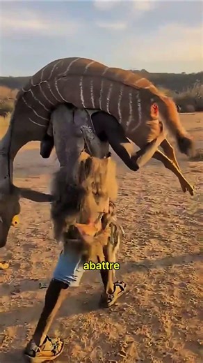 Comment les tribus chassaient sans flèches en fer