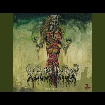 Intricate Dissection