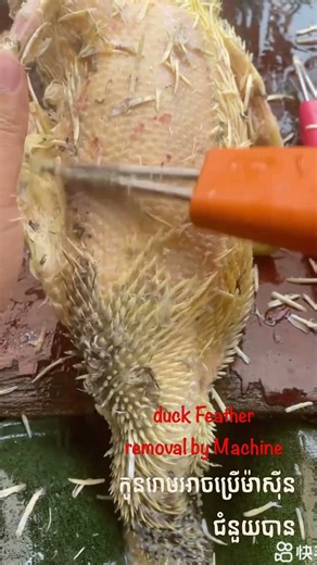 Duck Feather removal #diy #satisfying #shortvideo #shorts