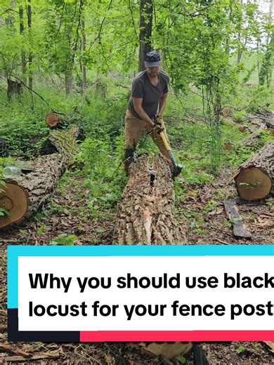 Black Locust: The Ideal Tree for Fence Posts