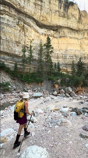 Breathtaking Waterfalls on Ashdown Gorge Trail – Don't Miss This Hike! #360videos #utah #Shorts