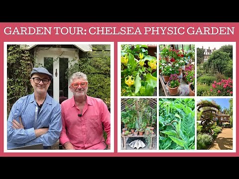 Garden tour: Chelsea Physic Garden in London