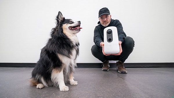 Can This New Gadget Satisfy the Dog...¿