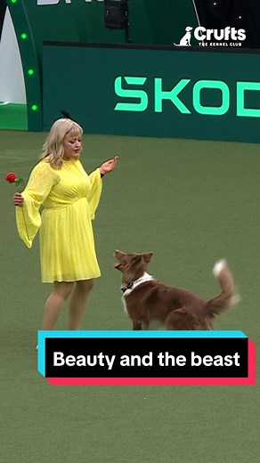 Captivating Beauty and the Beast Routine at Crufts 2025