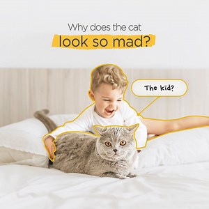 26 reactions · 25 shares | Dust mites be gone! Run your bedding...