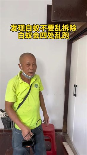 衣柜长白蚁，乱拆除后，白蚁又咬烂了木门。#专业的事情交给专业人去做 #莆田白蚁消杀公司 #仙游灭白蚁上门 #白蚁防治找哪个部门 #除白蚂蚁视频